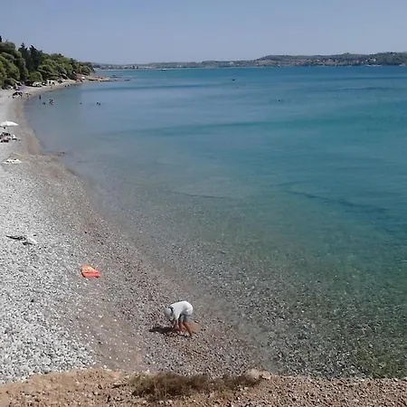 The Greek Way Of Living Apartment