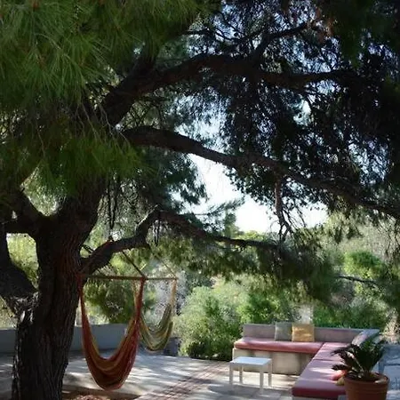 The Greek Way Of Living