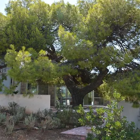 The Greek Way Of Living Apartment