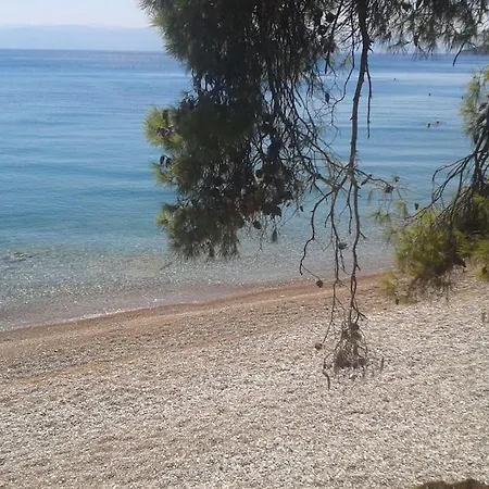 The Greek Way Of Living